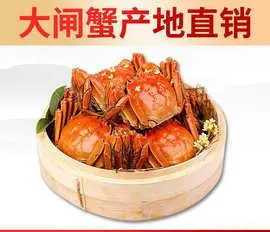  致